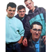 THE HOUSEMARTINS